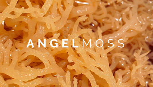 Dive In To AnGel Moss!