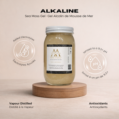Alkaline Sea Moss Gel